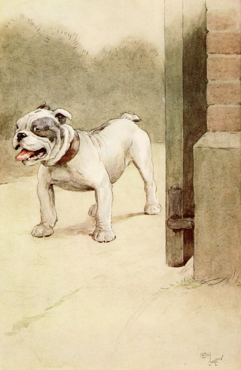 Cecil Aldin - My Dog 1913 - 6 Public Domain Images | Dimensions 2060 x 3160 pixels