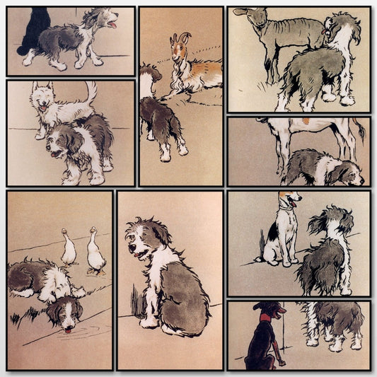 Bobtail Puppy Book (1914) - Cecil Aldin - 9 images | A snapshot of the images