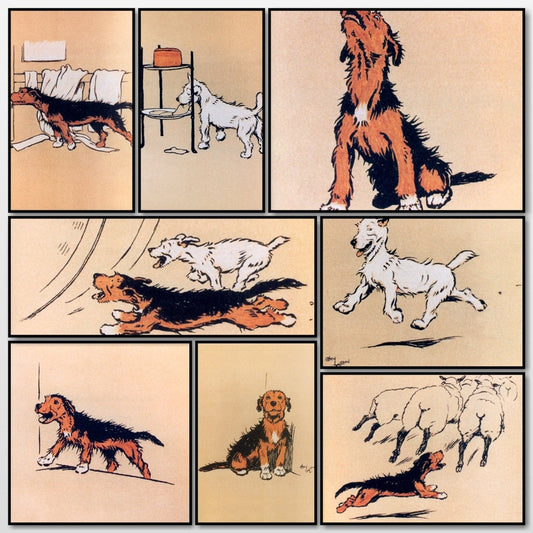 Mongrel Puppy Book (1912) - Cecil Aldin - 12 Images | A snapshot of some of the images