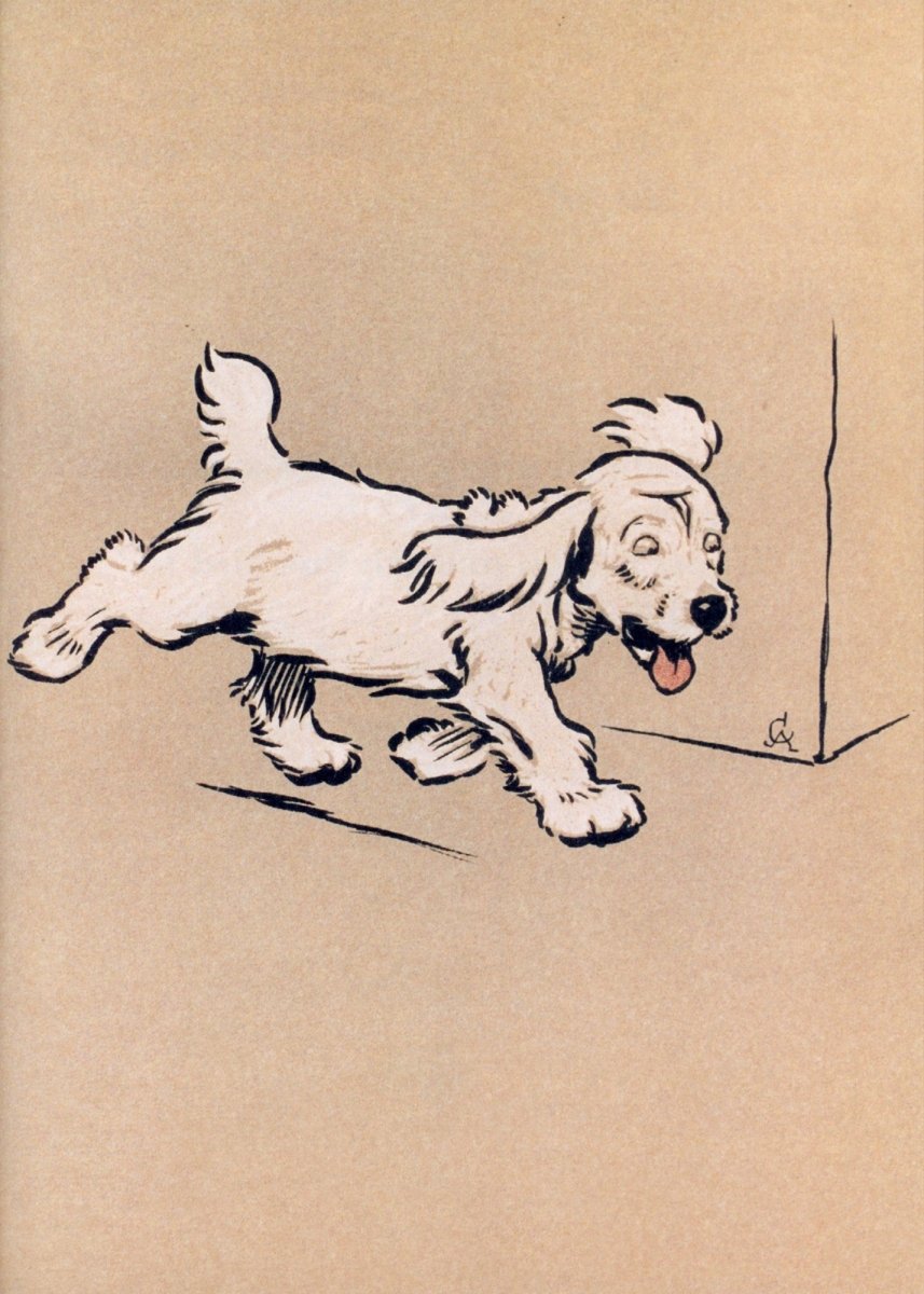 The White Puppy (1909) - Cecil Aldin - Public Domain Images | Dimensions 2868 x 4014 pixels