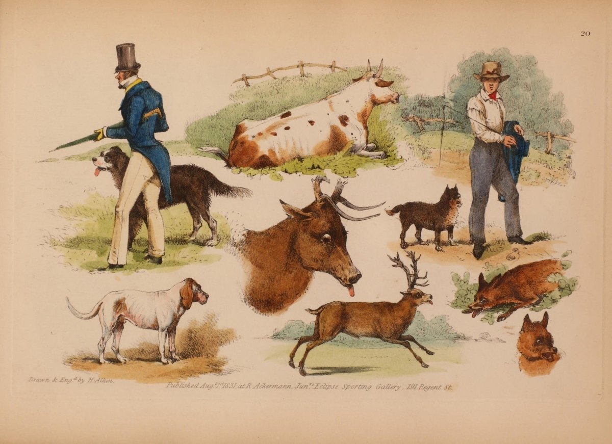 Studies of the Horse 1831 - Henry Alken - 25 images | Dimensions 4087 x 2967 pixels