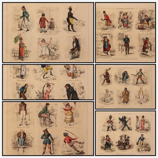 Flowers From Nature 1824 - Henry Alken - 6 images | A snapshot of the images