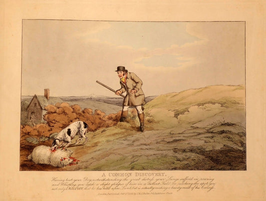 Sporting Discoveries 1816 - Henry Alken - 7 images | Dimensions 3552 x 2688 pixels