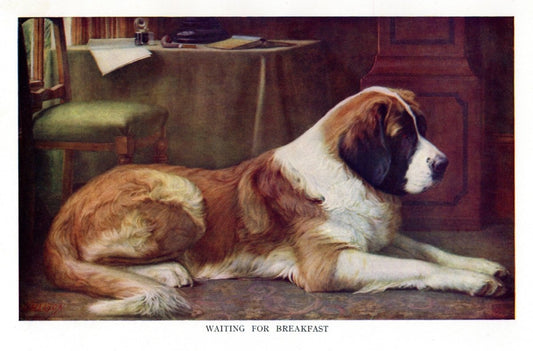 Dimensions 5166 x 3402 pixels