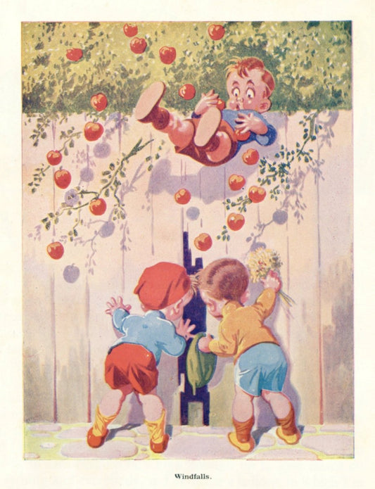 Dimensions 3423 x 4466 pixels