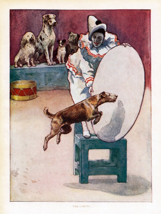 The Circus (1919) from 'The Prize' children's annual. | Dimensions 3648 x 4856 pixels