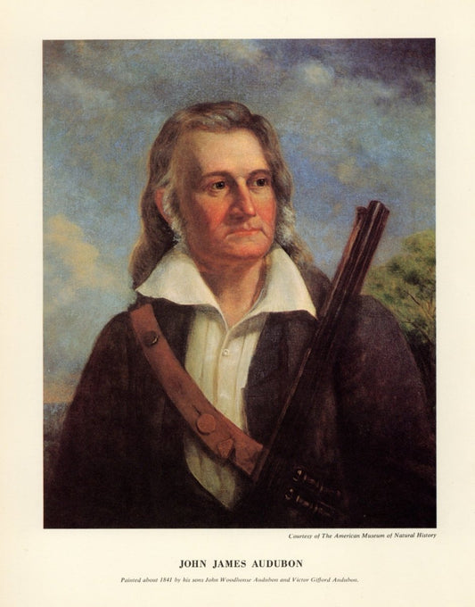 J.W. Audubon & V.G. Audubon - Portrait of John James Audubon | Dimensions 5112 x 6520 pixels