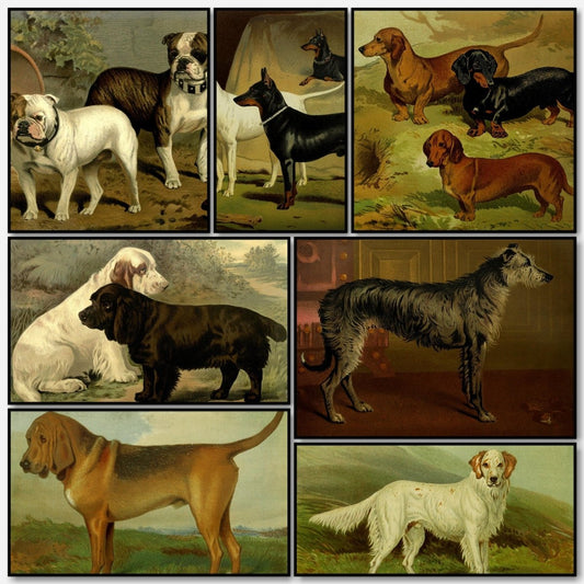 Illustrated Book of the Dog 1881 - Charles B. Barber | A snapshot of some of the images