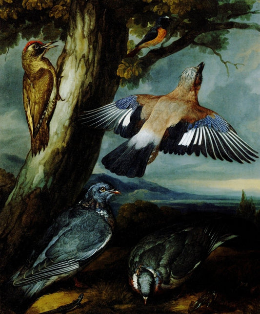 Dimensions 4568 x 5496 pixels