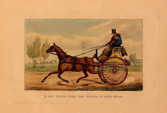 A Series of Very Spirited Etchings - Henry Alken - 6 images | Dimensions 3064 x 2076 pixels