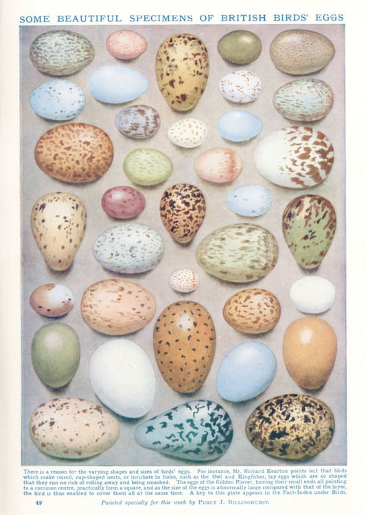 Dimensions 3996 x 5616 pixels