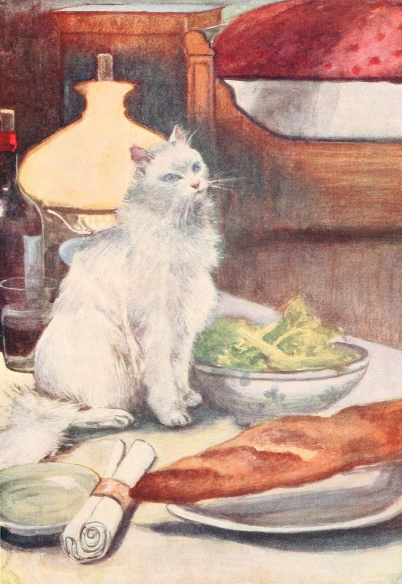 The Cat 1905 - Adolph Birkenruth - 12 images | Dimensions 1540 x 2240 pixels