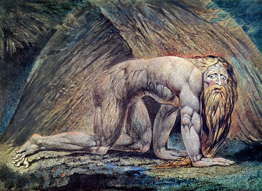 Dimensions 5355 x 3899 pixels