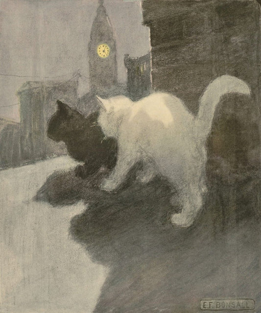 The Book of Cats 1903 - Elizabeth Bonsall - 7 images | Dimensions 1521 x 1824 pixels