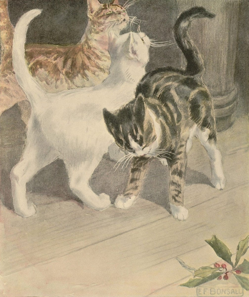 The Book of Cats 1903 - Elizabeth Bonsall - 7 images | Dimensions 1536 x 1830 pixels