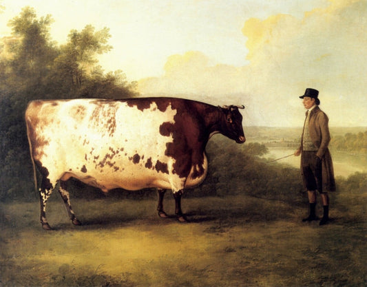 Dimensions 4585 x 3584 pixels