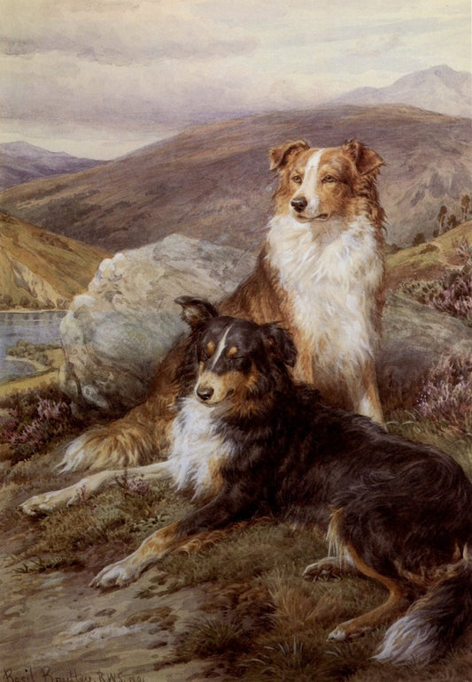 Dimensions 3896 x 5632 pixels