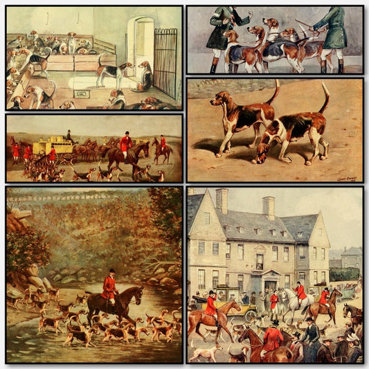 The Foxhound of the Twentieth Century 1914 Cuthbert Bradley | A snapshot of some of the images