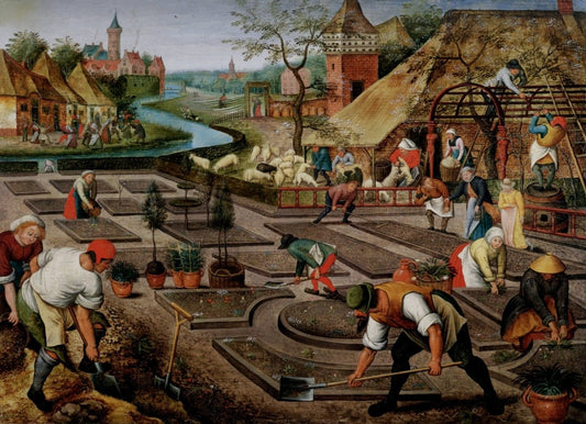 Dimensions 5695 x 4125 pixels