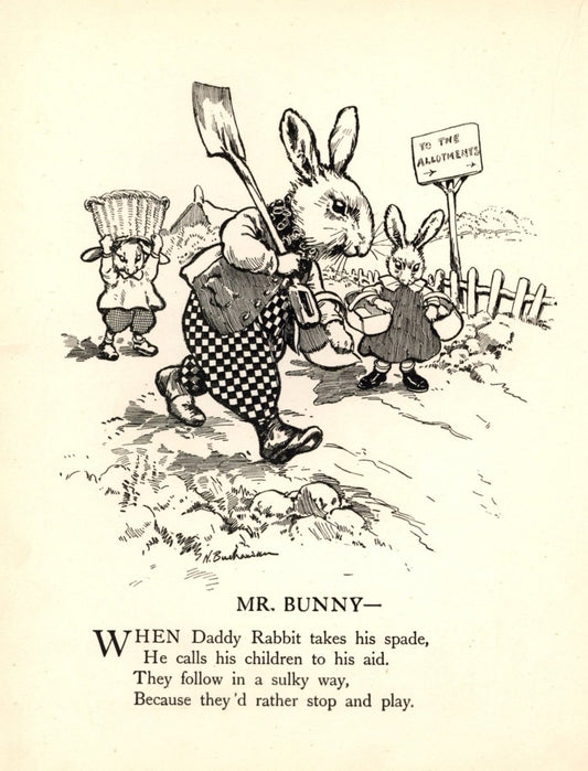 Dimensions 4668 x 6120 pixels