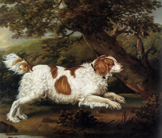 Henry Bernard Chalon - Quaile, An English Water Spaniel 1797 | Dimensions 4860 x 4140 pixels