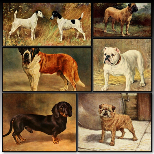 The New Book of the Dog 1911 - Maud Earl, Lilian Cheviot | A snapshot of some of the images