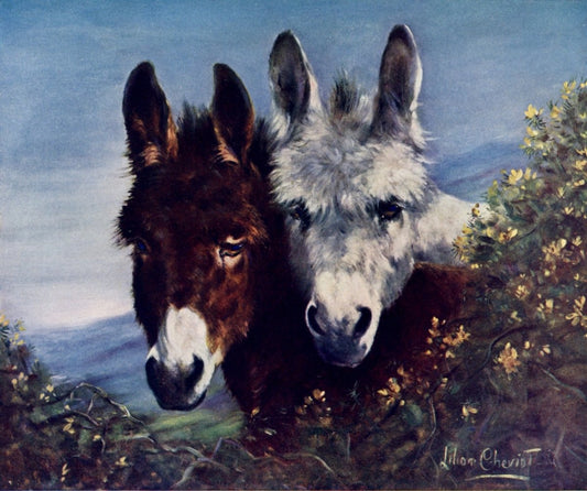 Lilian Cheviot - The Wise Ones | Dimensions 4300 x 3600 pixels