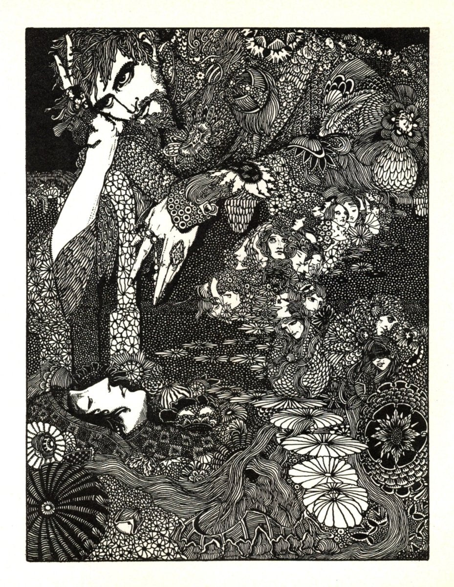 Dimensions 4740 x 6120 pixels
