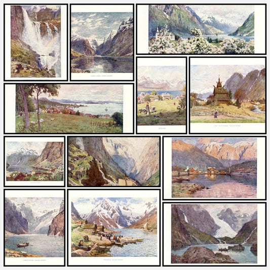 A snapshot of the images