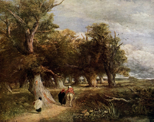 Dimensions 5510 x 4370 pixels