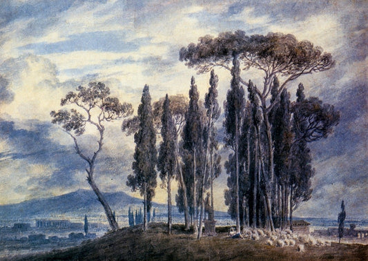 Dimensions 6345 x 4491 pixels