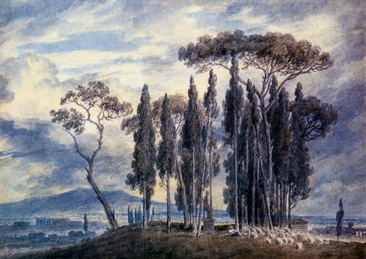 Dimensions 6345 x 4491 pixels