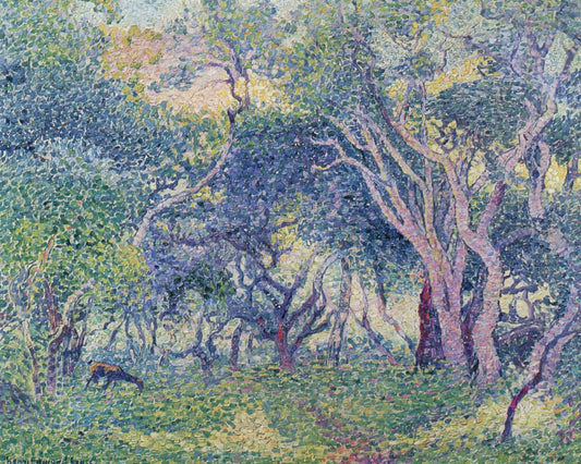 Dimensions 4608 x 3680 pixels