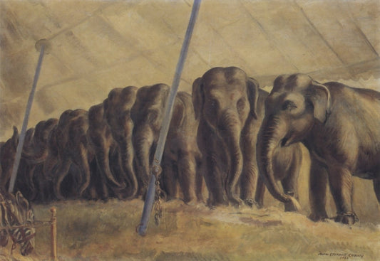 Dimensions 5208 x 3591 pixels