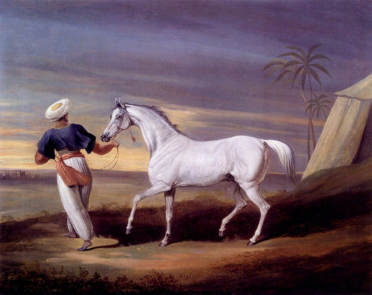 Dimensions 4945 x 3915 pixels