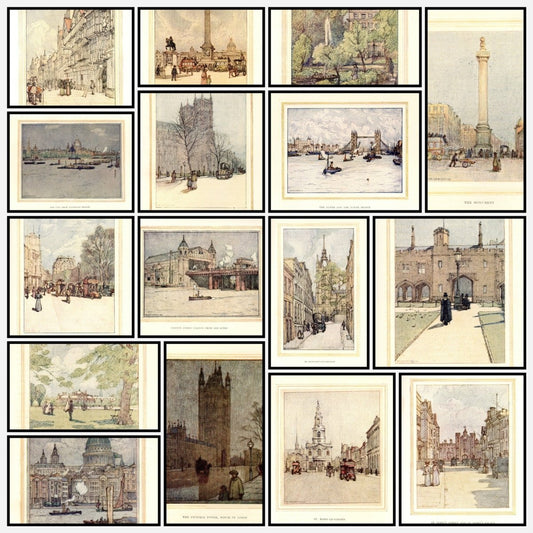 A snapshot of the images