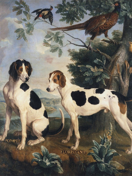 Dimensions 4440 x 5936 pixels