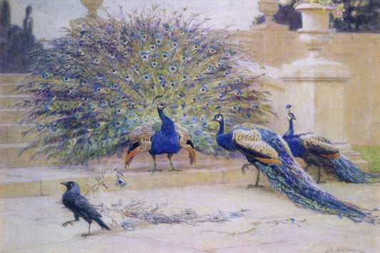 Dimensions 5215 x 3472 pixels