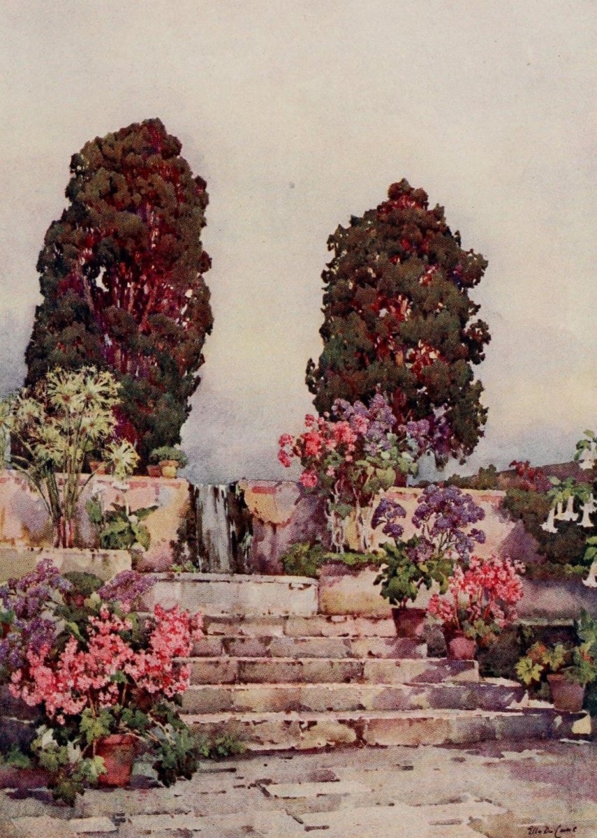 The Canary Islands 1911 - Ella Du Cane - 20 images | Dimensions 1560 x 2190 pixels