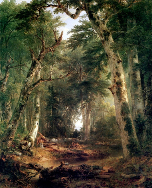 Dimensions 4644 x 5769 pixels