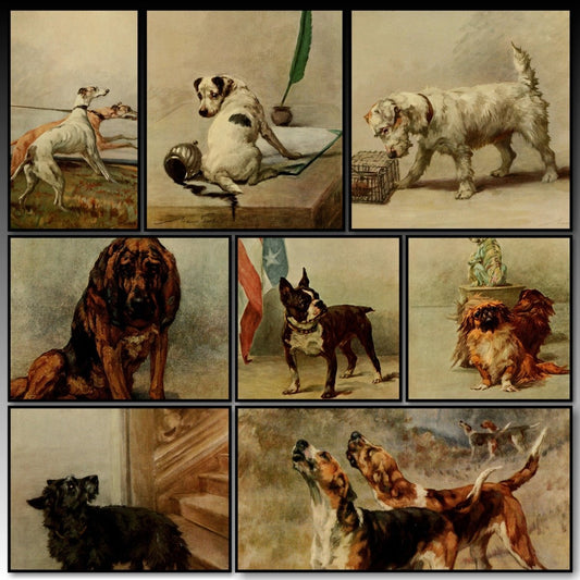The Power of the Dog 1910 - Maud Earl - 20 images | A snapshot of some of the images