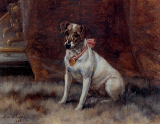 Dimensions 5558 x 4326 pixels