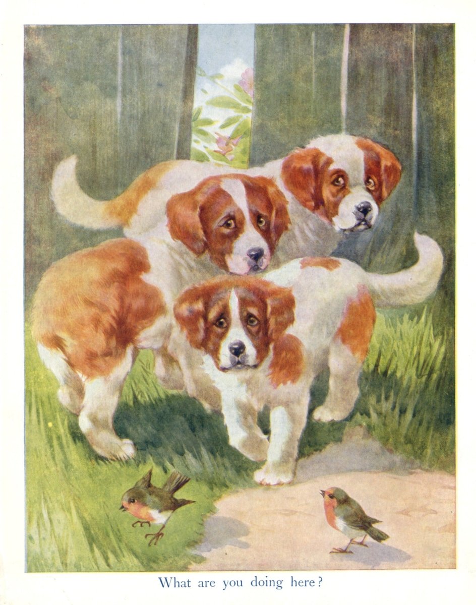 Favourite Animals c.1928 - 16 images | Dimensions 4800 x 6100 pixels