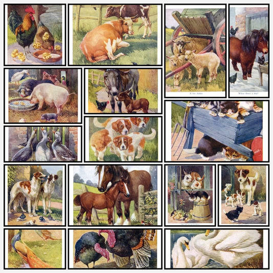 Favourite Animals c.1928 - 16 images | A snapshot of the images