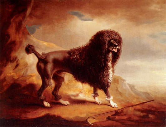 Dimensions 2104 x 3244 pixels