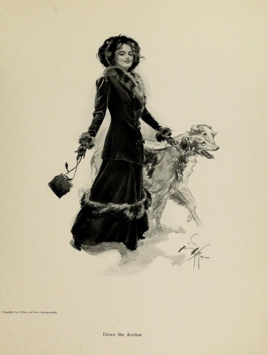Fair Americans 1911 - Harrison Fisher - 65 images | Dimensions 2715 x 3594 pixels