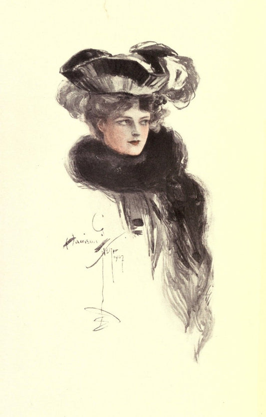 The Radical, 1907 - Harrison Fisher - 1 image | Dimensions 2142 x 3360 pixels