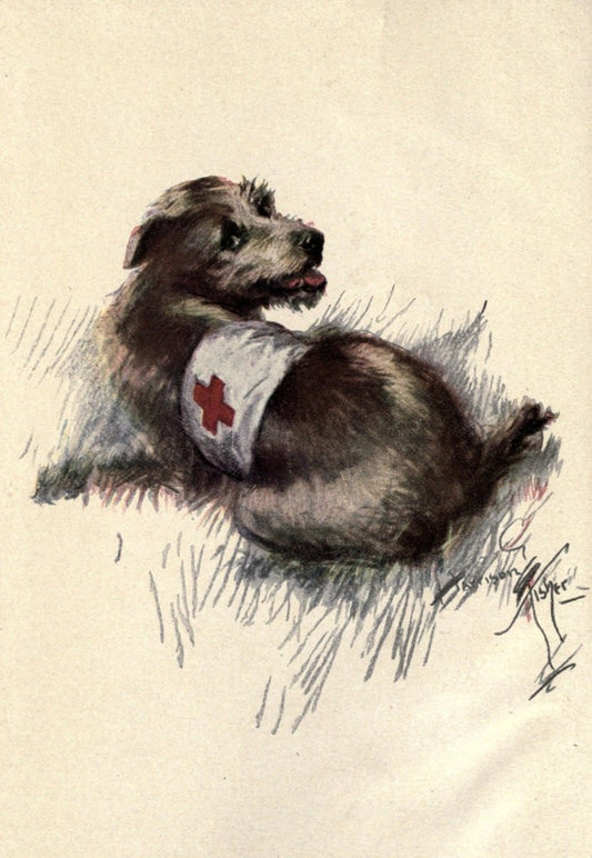 The War Dog 1918 - Harrison Fisher - 1 image | Dimensions 1820 x 2638 pixels