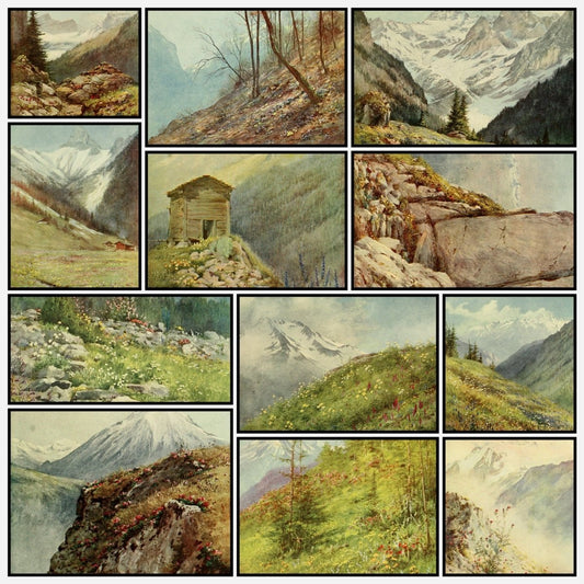 Alpine Flowers & Gardens 1910 - George Flemwell - 20 images | A snapshot of some of the images