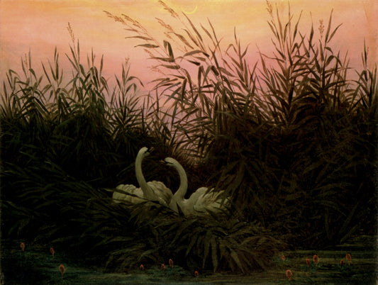 Dimensions 4458 x 3360 pixels